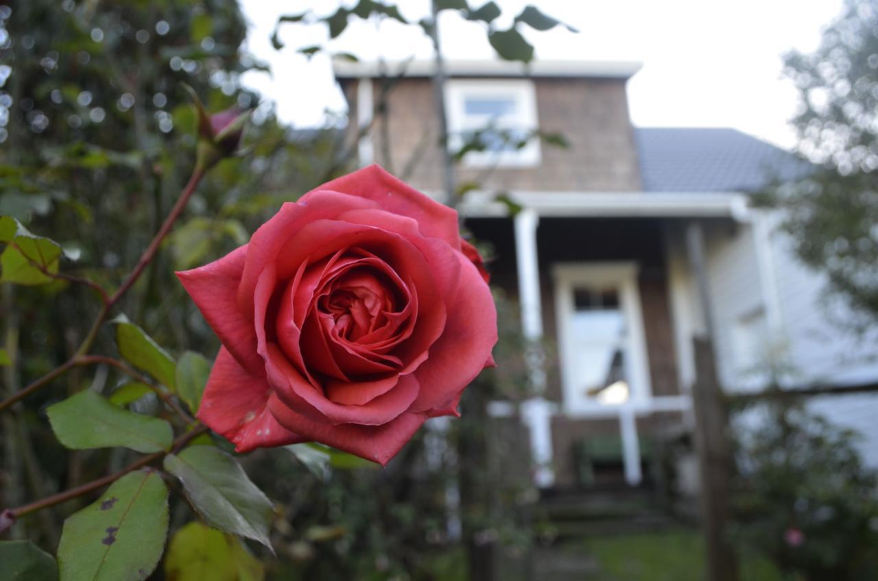 Casa Apel Hostel Puerto Varas Eksteriør bilde
